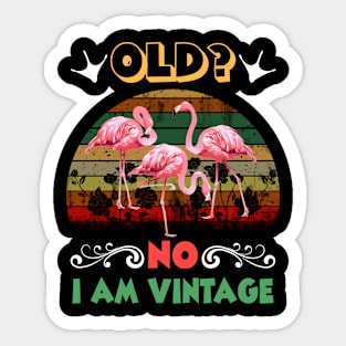 Old No I am Vintage Funny Flamingo Sticker